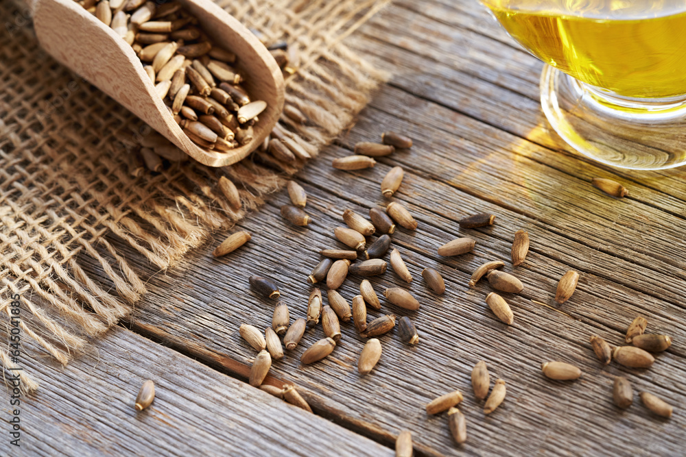 Milk thistle seeds with oil