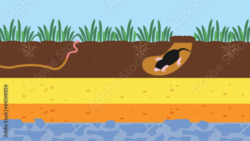 An illustration of a mole digging a hole in the ground with a worm. photo