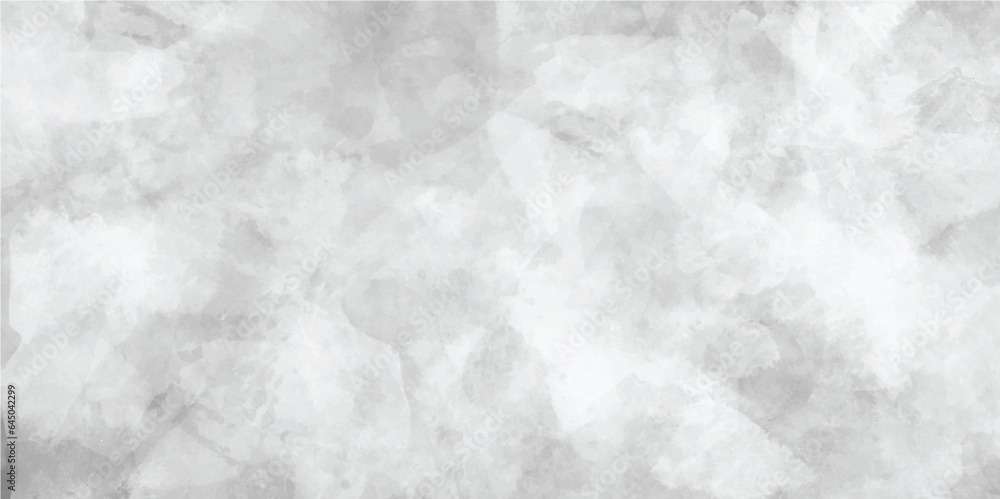 Fototapeta premium Watercolor white and light gray texture, background. Vector Illustration. light gray watercolor background