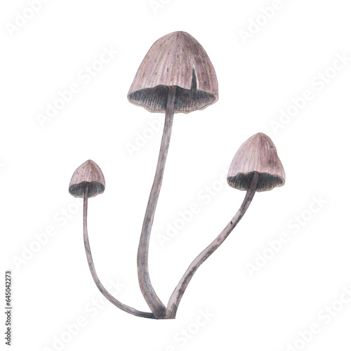 Death cap toadstool magical texture isolated on white background. Watercolor hand drawn amanita poison mushroom sketch iIllustration. Art design witchcraft halloween witch decoration, greeting card