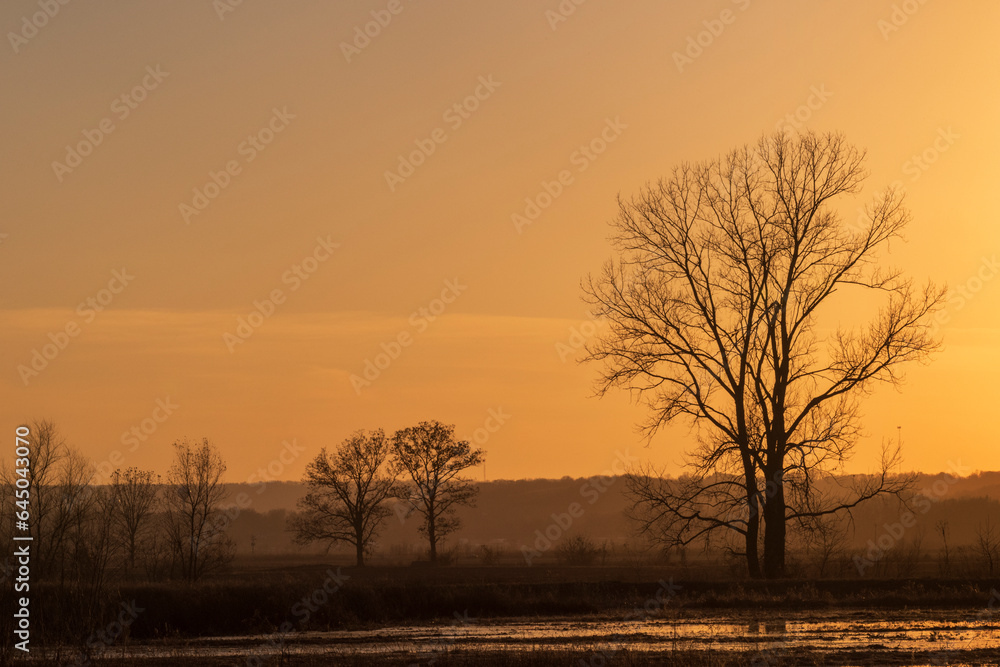 Prairie Slough Conservation Area Sunset Trees