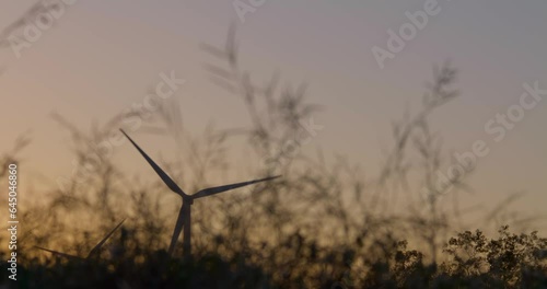 Tall grass with wind turbines windmills in the background at sunset near Palm Springs California