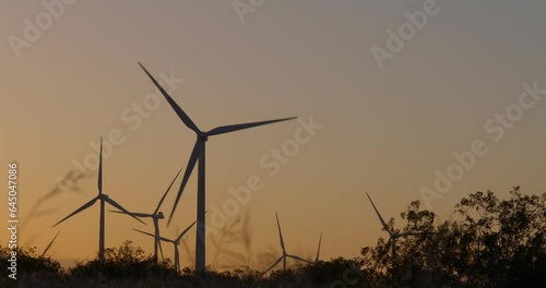 Wind turbines, windmills spinning in a field at sunset