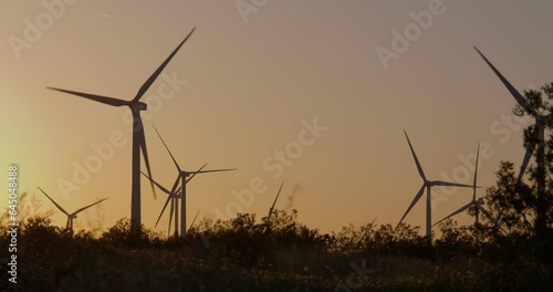 Wind turbines, windmills spinning in a field at sunset