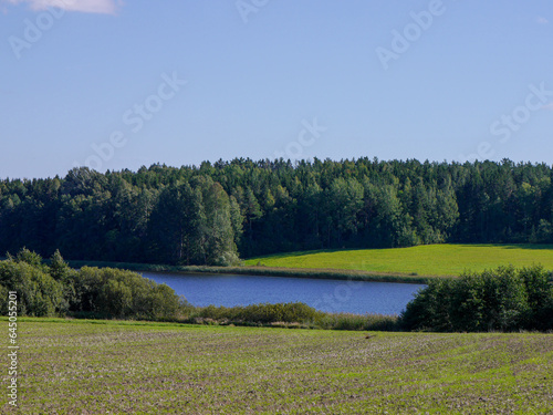 Fototapeta Naklejka Na Ścianę i Meble -  Scenic view of lake against clear sky