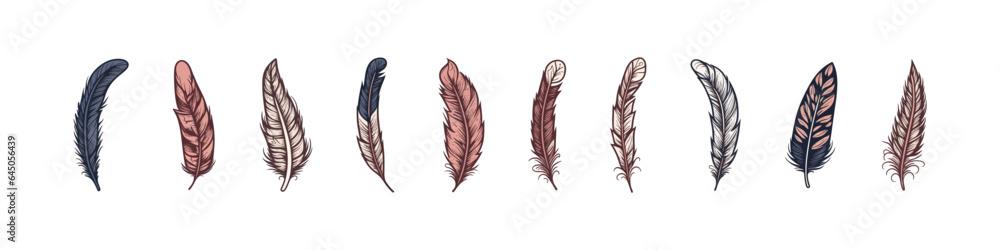 Fototapeta premium Feather hand drawn vector illustration. Colorful feathers set. Bird quill collection isolated.