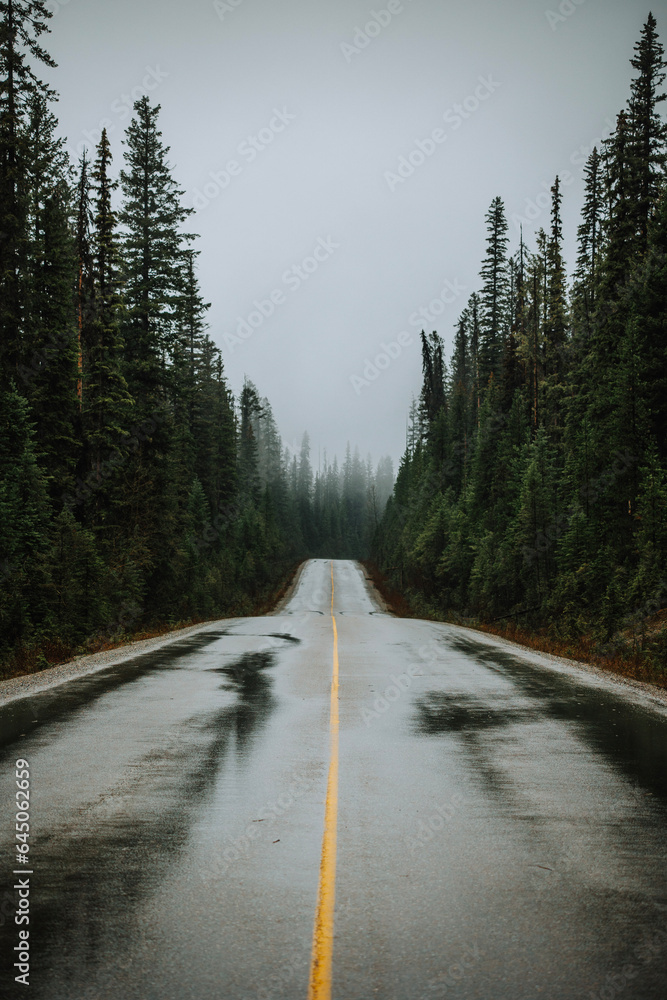 road in the mountains road in the mountains