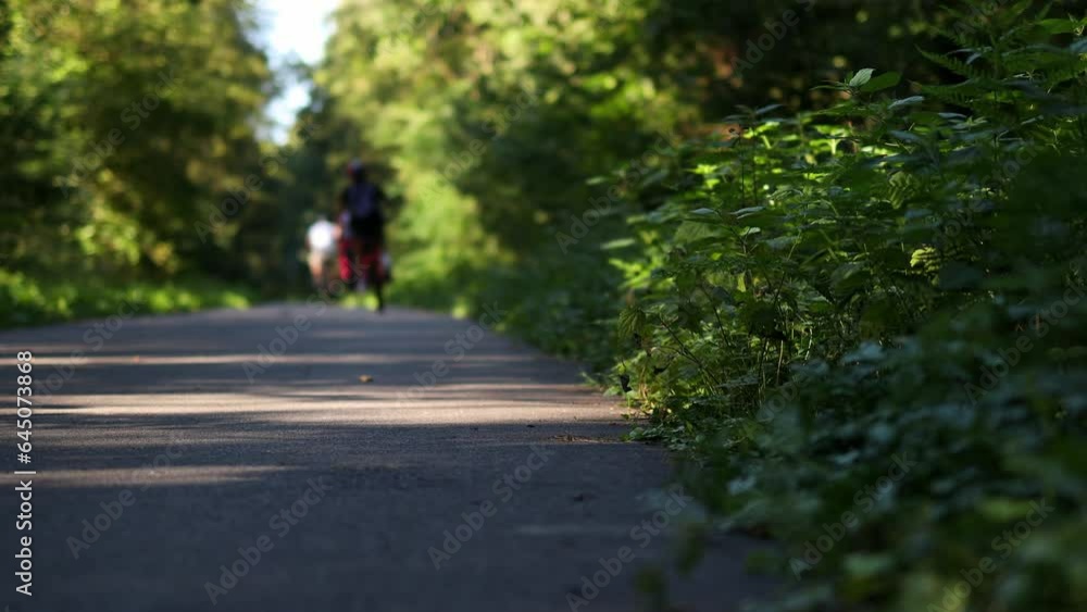 Cyclist on a bike path in nature blur video Cyclist on a bike path in nature blur video