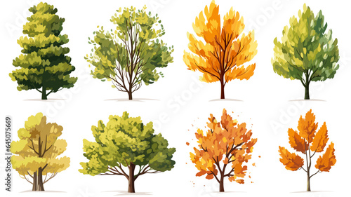 autumn trees, set of vector illustrations of cute trees and shrubs: oak, birch, aspen, linden, fir, sun and dog, different shapes of trees in autumn colors. Isolated on white background.