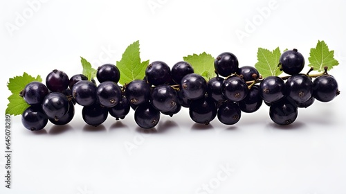 Image of ripe and juicy blackcurrant.