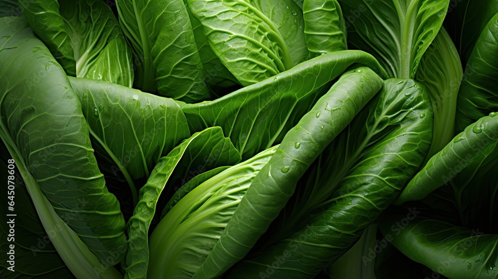 Close-up of bok choy leaves showing their vibrant green color. - obrazy, fototapety, plakaty 