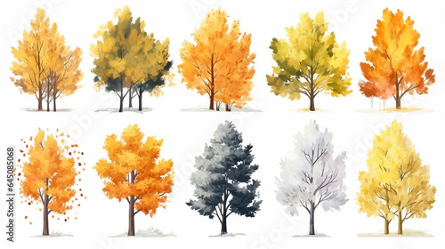 autumn trees, set of vector illustrations of cute trees and shrubs: oak, birch, aspen, linden, fir, sun and dog, different shapes of trees in autumn colors. Isolated on white background.