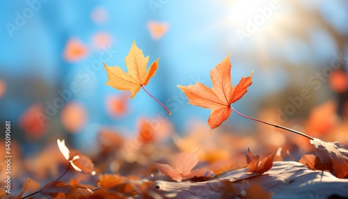 Autumn leaves drifting down against the blue sky. Autumn colors, sharp and clear focus on one leaf. 