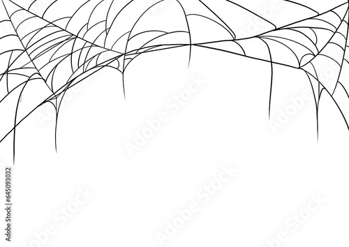 Spider Web Cobweb