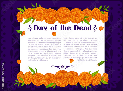 Marigold flowers on Dia De Los Muertos Day of the Dead holiday banner. Mexican Halloween vector poster with borders of orange flowers garlands on purple papel picado paper cut flag background