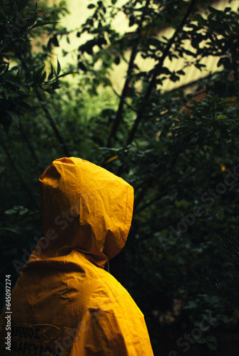 Woman with a yellow jacket in a forest with rain 