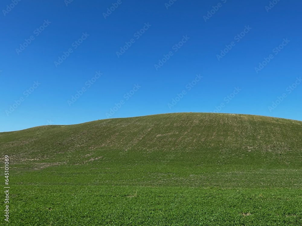 field and blue sky field and blue sky