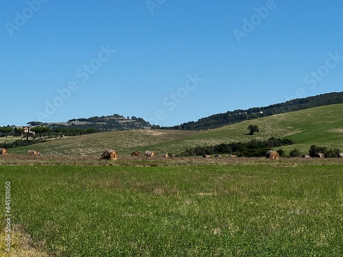 Landscape in maremma Tuscany