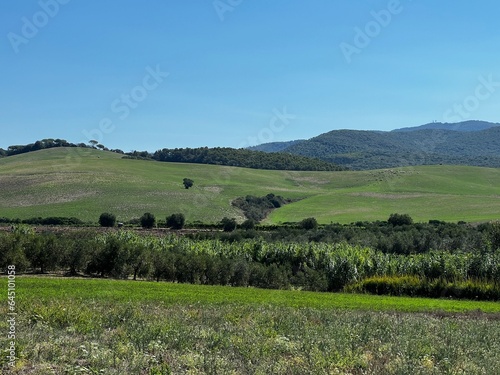 Landscape in maremma Tuscany