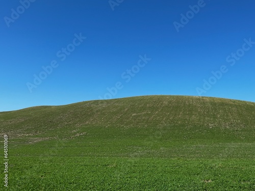 field and blue sky