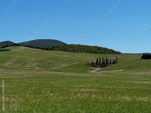landscape in region maremma Tuscany
