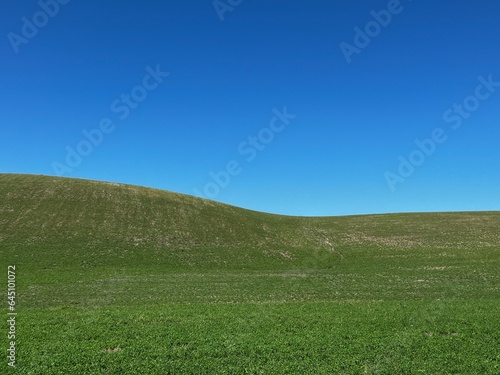 field and blue sky
