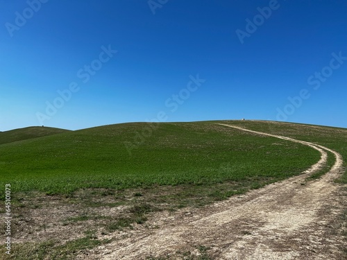 path in the field