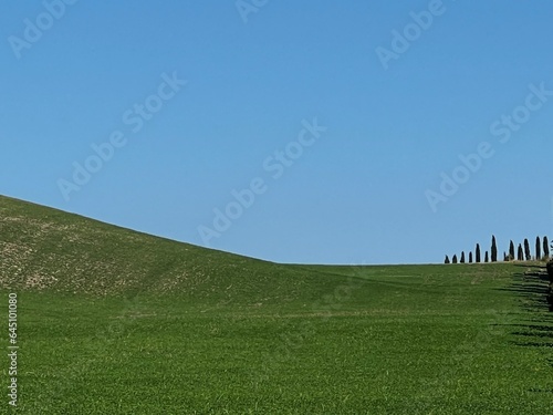 field and blue sky