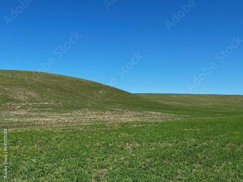 green field and blue sky