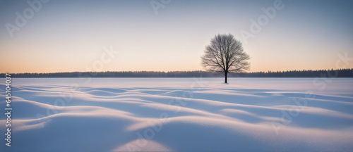 Winter wallpaper. Wide angle shot of a a tree standing alone on a snowy field against a blue frosty sky. Beautiful winter nature scene. 
