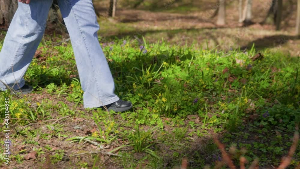 Low section of woman hiking on grassy field. Female wearing jeans is walking amidst wildflowers in forest. She is spending leisure time in woodland. Low section of woman hiking on grassy field. Female wearing jeans is walking amidst wildflowers in forest. She is spending leisure time in woodland.