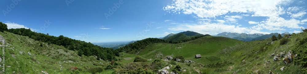 Fototapeta premium panorama