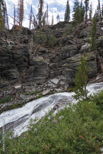 Kings Creek  Upper cascades stream in the woods at Lassen Volcanic National Park  California