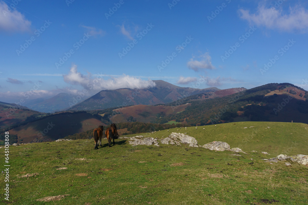 Two horses pasturing in the mountain meadows of basque country enjoying beautiful view, Euskal Herria, Navarre, Spain. Two horses pasturing in the mountain meadows of basque country enjoying beautiful view, Euskal Herria, Navarre, Spain.