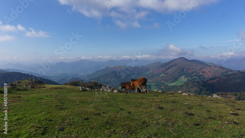 Two horses pasturing in the mountain meadows of basque country with beautiful view, Euskal Herria, Navarre, Spain.