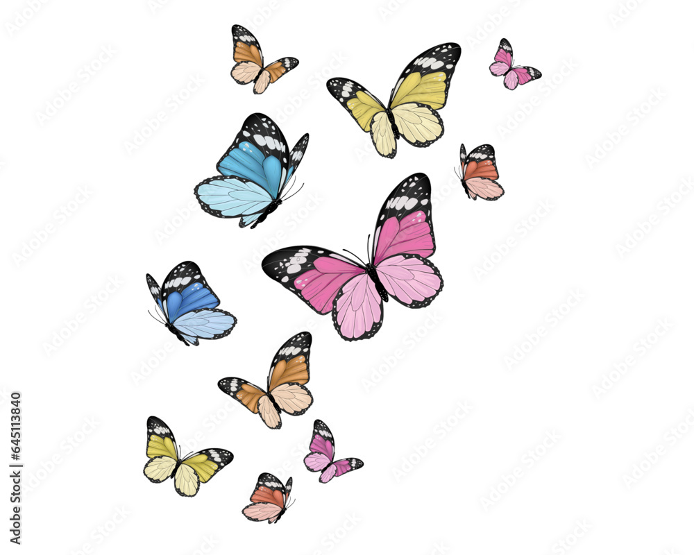 Obraz premium set of butterflies