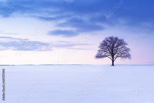 Minimalistic tree in the snowy landscape