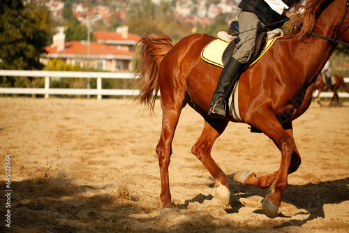 Tight close-up image of horse and rider © atakansevgi