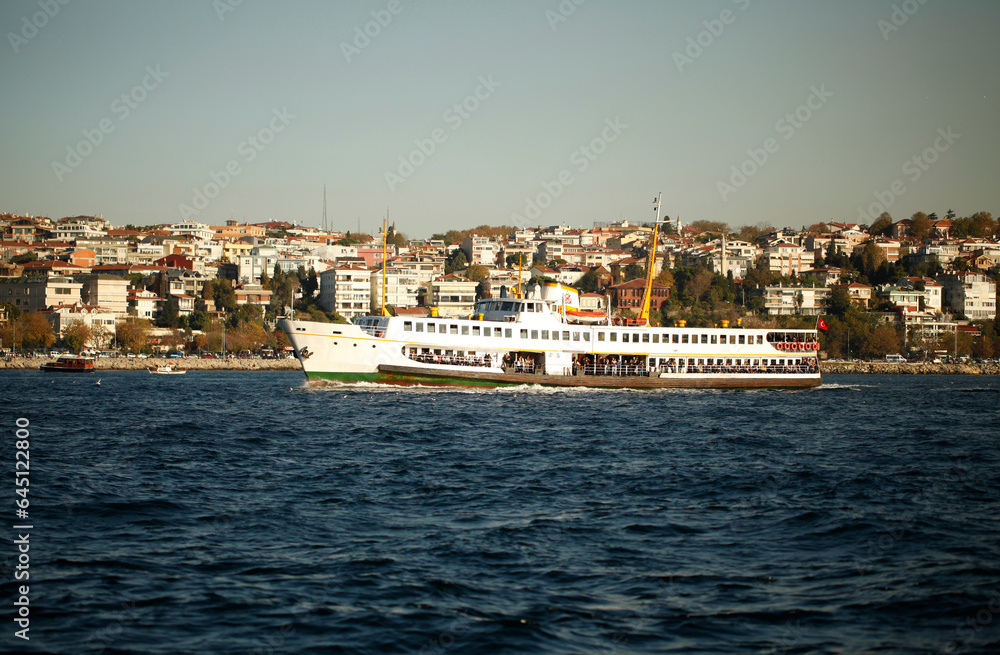 Istanbul ferry passing Bosphorus