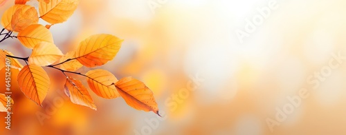 close up autumn leaves in orange color with copy space  Generative Ai