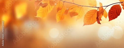 close up autumn leaves in orange color with copy space, Generative Ai