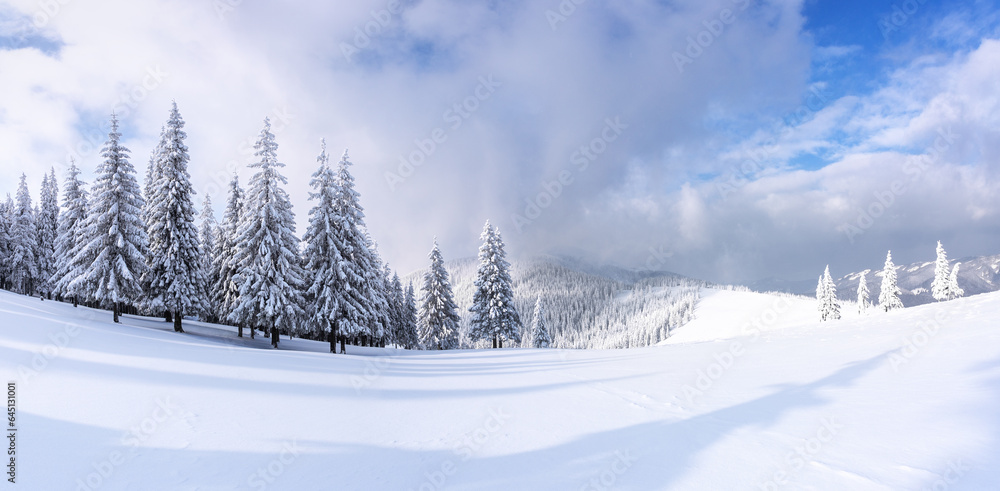 Fototapeta premium Landscape on winter day. Forest. Lawn covered with snow. A panoramic view of high mountain. Evergreen trees in the snowdrifts. Christmas wonderland. Snowy wallpaper background.