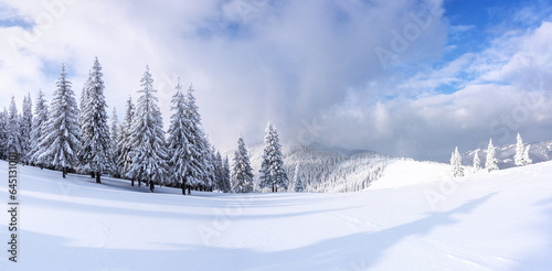 Landscape on winter day. Forest. Lawn covered with snow. A panoramic view of high mountain. Evergreen trees in the snowdrifts. Christmas wonderland. Snowy wallpaper background.