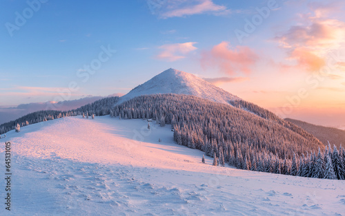 Winter. Amazing sunrise. High mountains with snow white peaks. A panoramic view of the covered with frost trees in the snowdrifts. Forest. Natural landscape with beautiful sky.