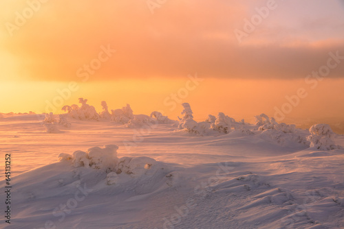 Winter. Amazing sunrise. High mountains. A panoramic view of the covered with frost trees in the snowdrifts. Natural landscape with beautiful orange sky.