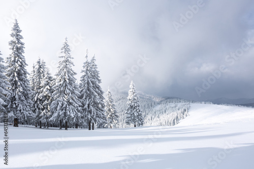 Winter landscape. Lawn and forest. High mountain. Trees covered with white snow. Snowy background. Nature scenery.
