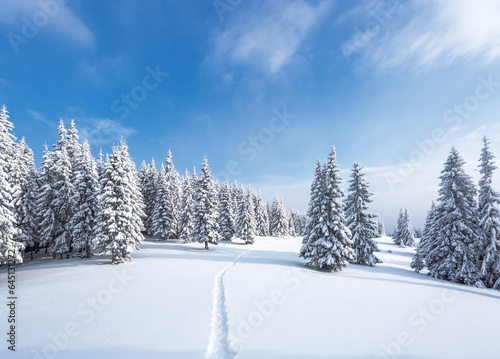 Nature winter landscape. Lawn covered with snow. High mountains with snow white peak. Snowy background. Location place the Carpathian, Ukraine, Europe. © Vitalii_Mamchuk