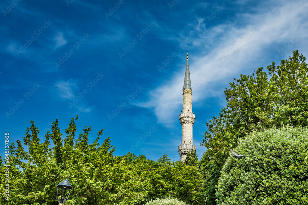 Obraz premium Mosque in the park