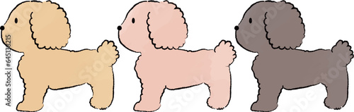 手書き風のシンプルなかわいいトイプードルのイラスト　横向き