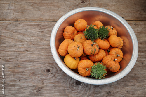 Top view, pile of mini pumpkins in the aluminium round bucket lay on wooden table. 